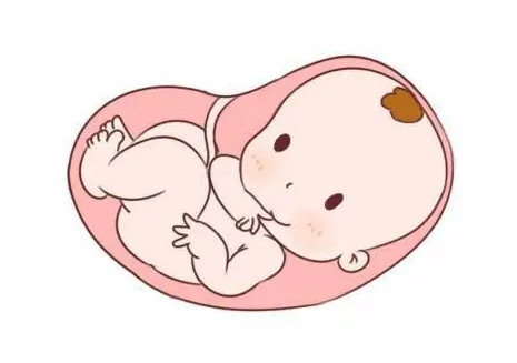 孕期哪个阶段宝宝大脑发育最快？这个时期发育是最快的